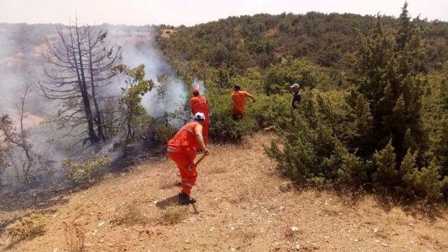 Bingöl’de Ormanlık Alanda Yangın