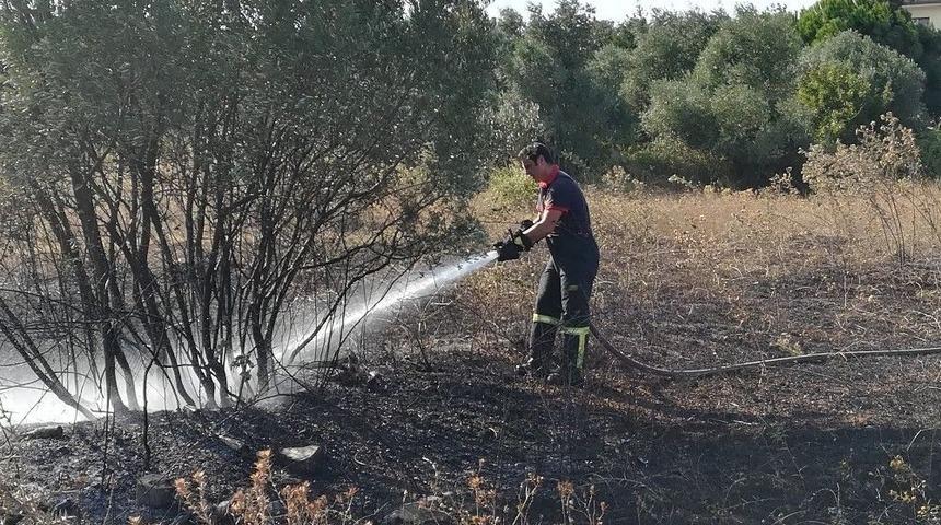 Boş Arazide &Ccedil;ıkan Yangın Zeytin Ağa&ccedil;larına Sı&ccedil;radı