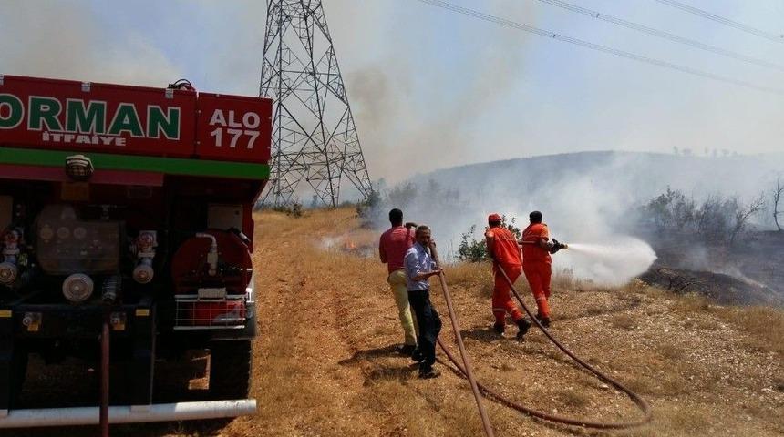 Ormanlık Alandaki Yangın Kontrol Altına Alındı