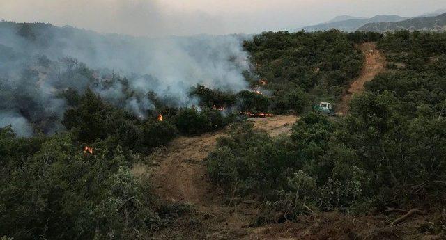 Ormanlık Alandaki Yangın Kontrol Altına Alındı