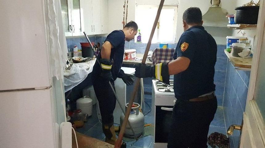 (özel) Tosya’da Yılanlar Evleri Bastı