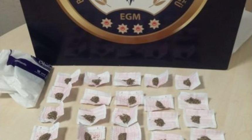 Ektikleri Kenevirlerin Boyu 2 Metreyi Ge&ccedil;ti