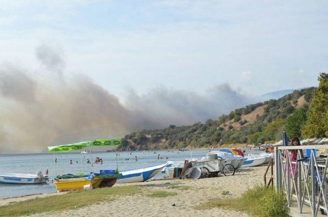 Erdek’teki Orman Yangını Kontrol Altına Alındı