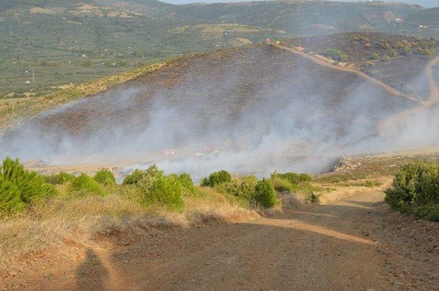 Erdek’teki Orman Yangını Kontrol Altına Alındı