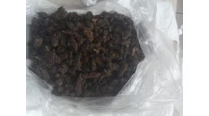 Uyuşturucu Satıcıları Yakalandı