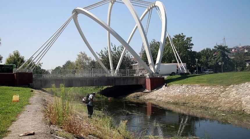 &Ccedil;ark Deresi&rsquo;nde Temizlik &Ccedil;alışmaları S&uuml;r&uuml;yor