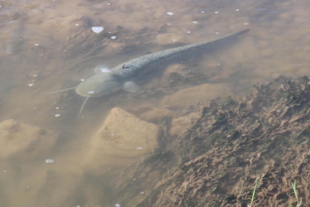 Sivas'ta korkutan g&ouml;r&uuml;nt&uuml;!