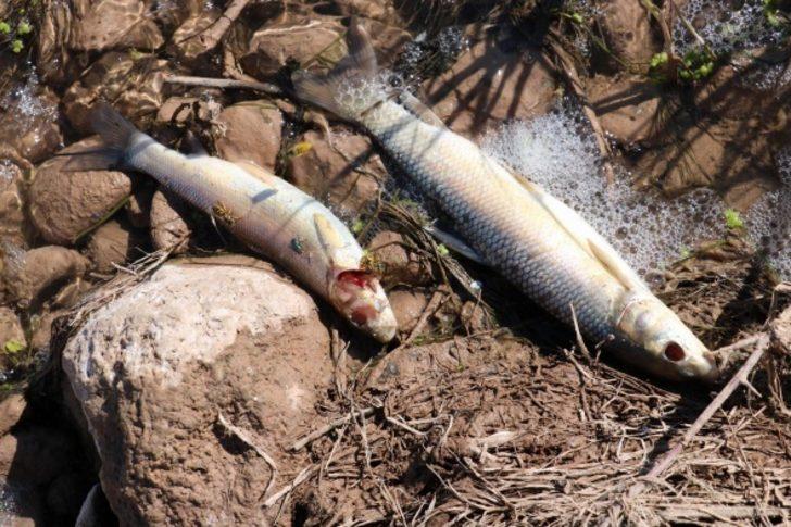 Sivas'ta korkutan görüntü! G3