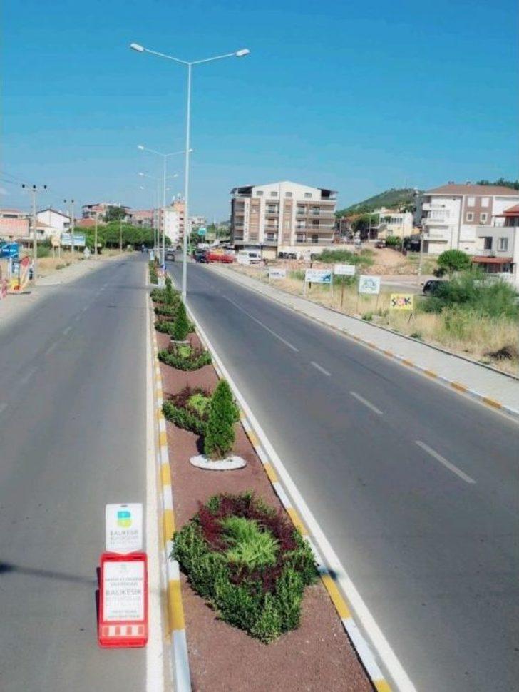 Balıkesir’de Refüjler Çiçek Açtı G3