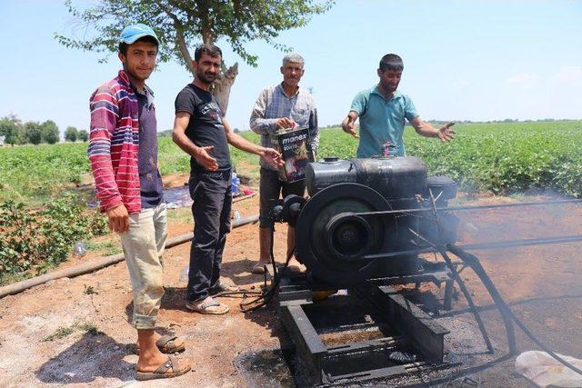 (özel Haber) Tarlasına Su Gelmeyince Geleneksel Yöntemi Uygulamaya Başladı