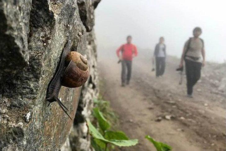 Gümüşhaneli Dağcılar Dünyanın En Tehlikeli Yolunda G3