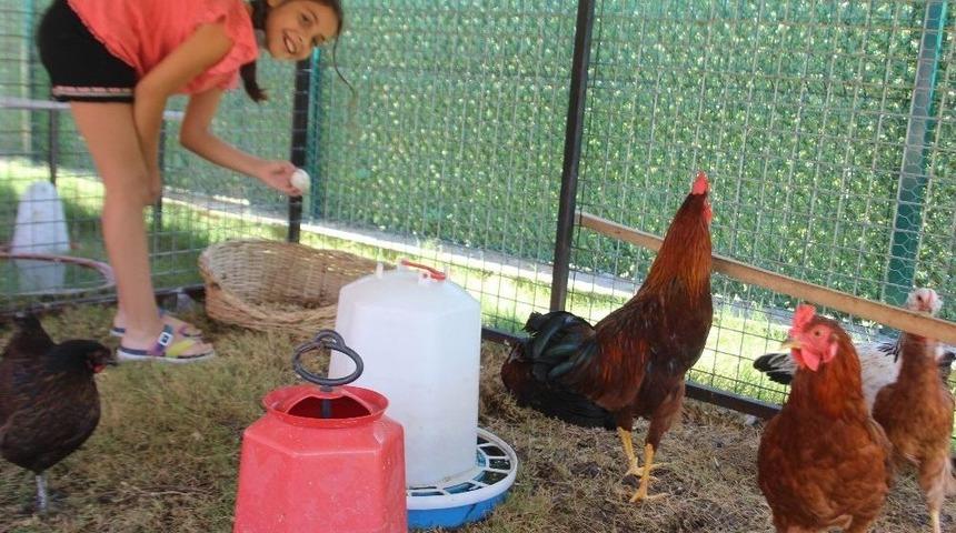 Şampiyon&rsquo;un &Ouml;d&uuml;l&uuml; Pahalıya Patladı