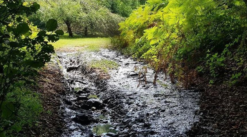 Dereye Resmi Araçla Kanalizasyon Atığı Dökülmesine Soruşturma