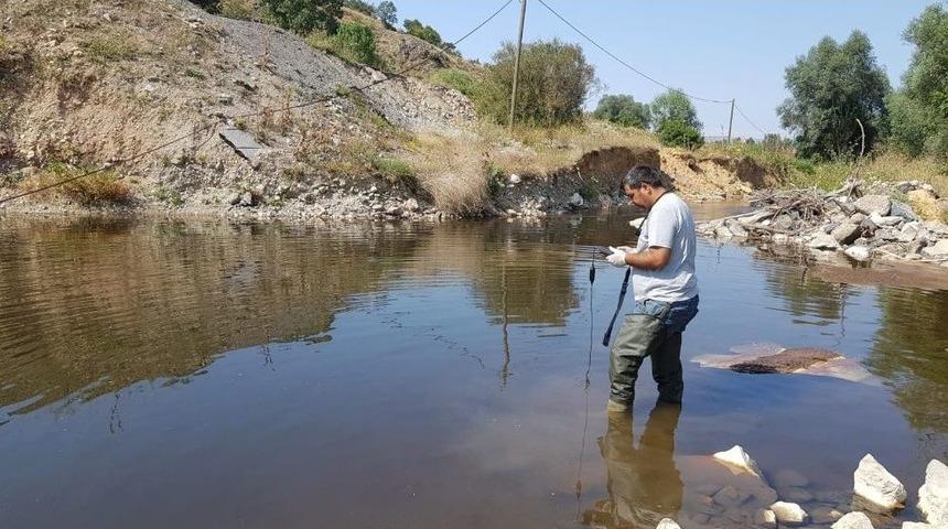 Kimyasal Maddenin Karıştığı &Ccedil;aydaki Su Normale D&ouml;nmeye Başladı