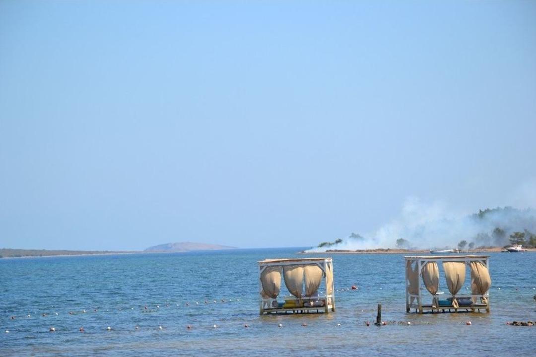 Ayvalık&rsquo;ta 3 Dekarlık Orman K&uuml;l Oldu