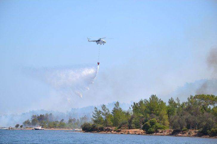 Ayvalık’ta 3 Dekarlık Orman Kül Oldu G5