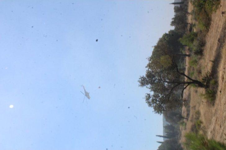 Ayvalık’ta 3 Dekarlık Orman Kül Oldu G1