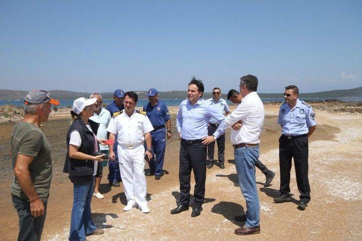 Ayvalık’ta 3 Dekarlık Orman Kül Oldu G4