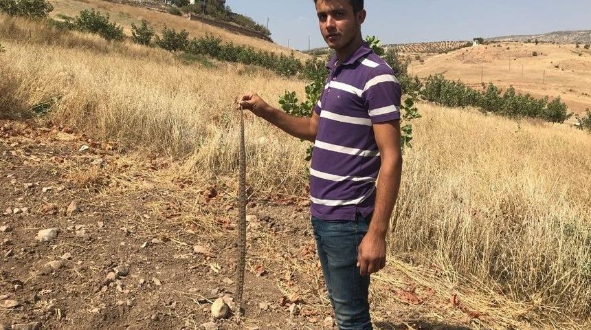 K&ouml;yl&uuml;lerin Yılan Tedirginliği