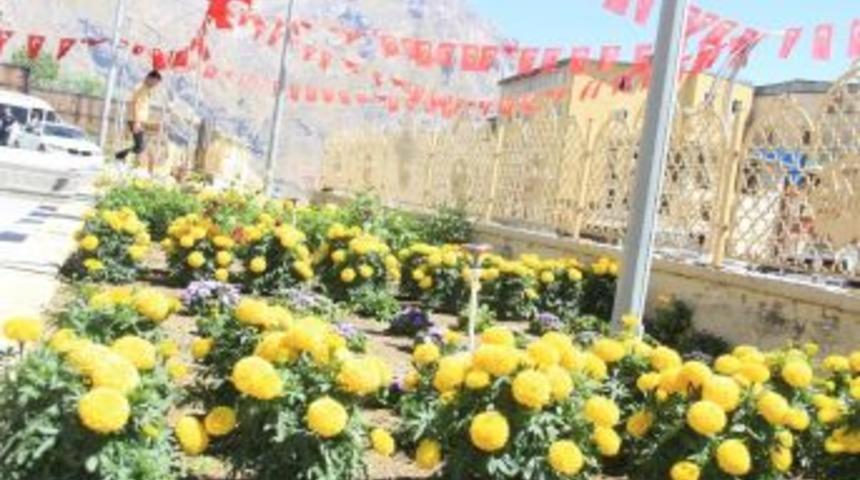 Sümbül Dağı Gölgesinde Bir Renk Cümbüşü