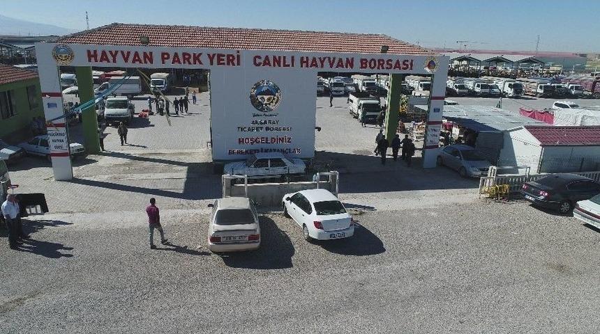 Aksaray&rsquo;da Hayvan Park Yeri Ve Canlı Hayvan Borsası Arife G&uuml;n&uuml;ne Kadar A&ccedil;ık