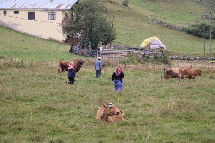 "anzer Yaylası, Ayder Ve Uzungöl Gibi Olmayacak" G5