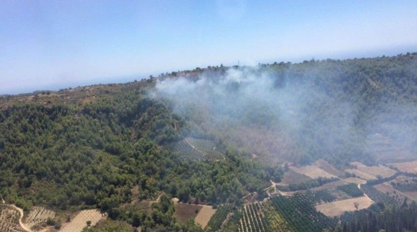 Alanya’daki Orman Yangını Kontrol Altına Alındı