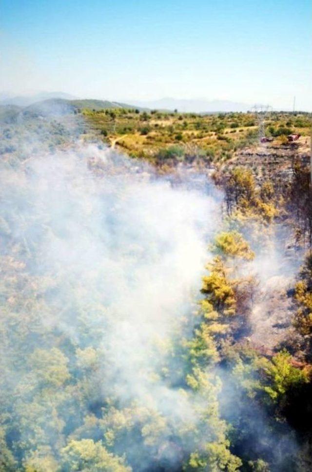 Alanya’daki Orman Yangını Kontrol Altına Alındı