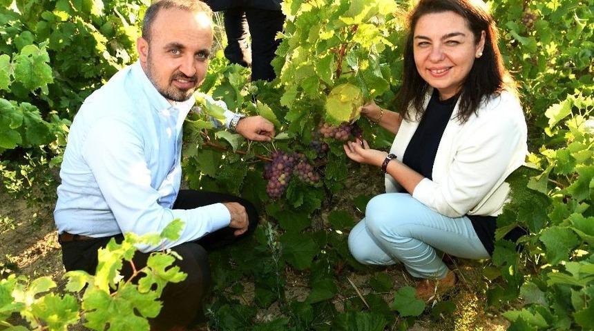 Turan’dan, Bozcaada’ya Ziyaret