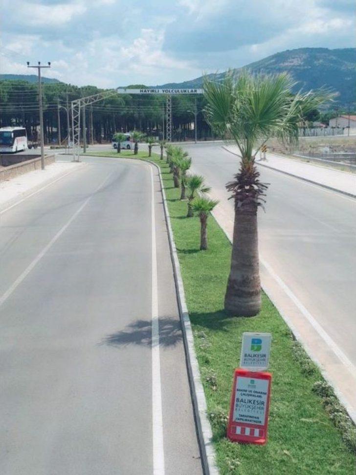 Balıkesir’de Refüjler Çiçek Açtı G2