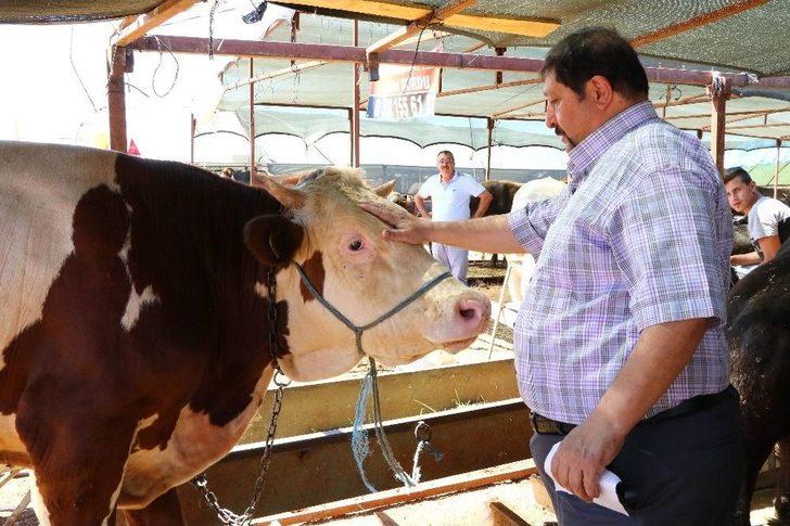 Kasaplar Odası Genel Başkan Yardımcısından Marketlere Minyatür Koçlu Gönderme G3