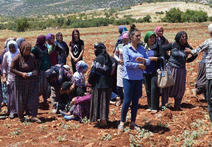 Ailesini Katleden Katil Olay Yerinden Kaçmış G1