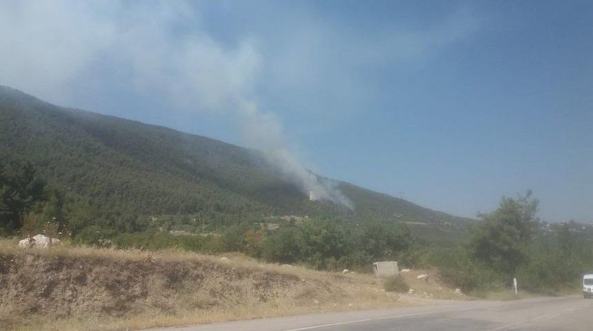 Denizli&rsquo;de Orman Yangını B&uuml;y&uuml;meden Kontrol Altına Alındı