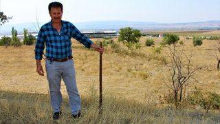 Koyun Otlattığı Çayıra Fabrika Kuracak