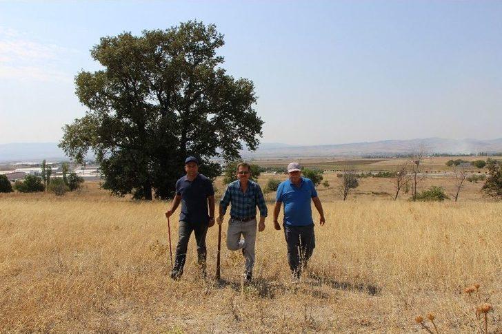 Koyun Otlattığı Çayıra Fabrika Kuracak G1