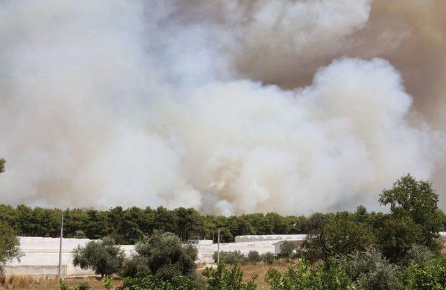 Antalya’daki Orman Yangını Devam Ediyor