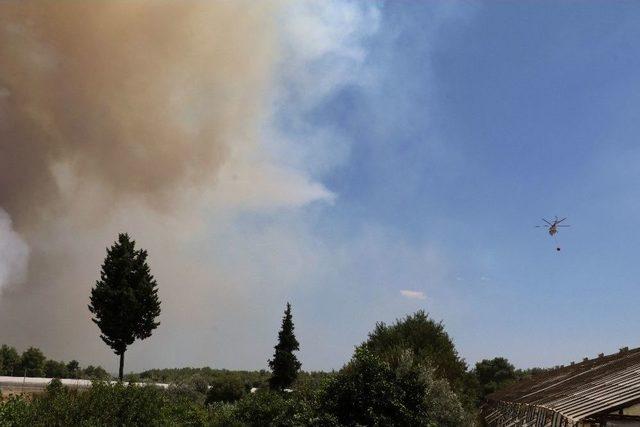 Antalya’daki Orman Yangını Devam Ediyor