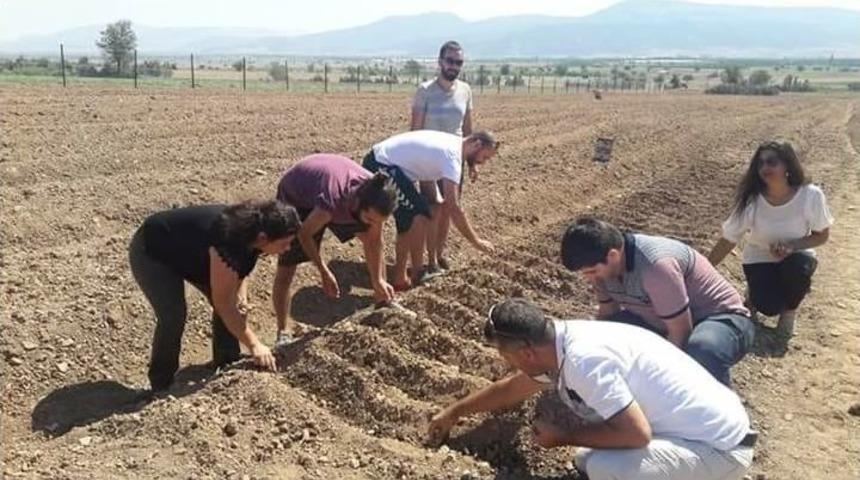 Antalya&rsquo;da &lsquo;safran&rsquo; Korkuteli&rsquo;nde &Uuml;retiliyor