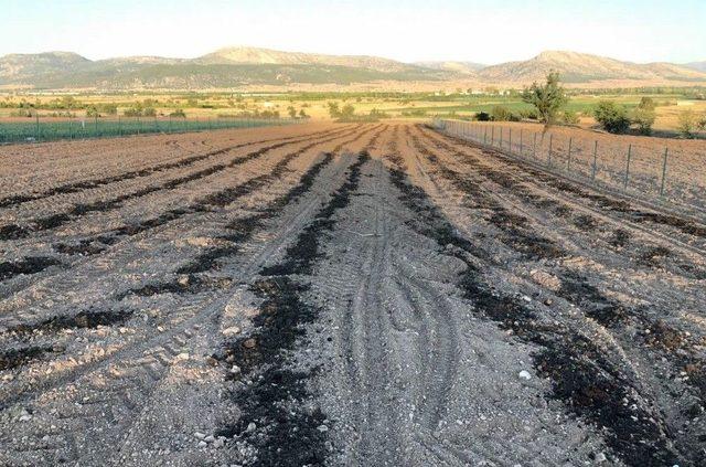 Antalya’da ‘safran’ Korkuteli’nde Üretiliyor