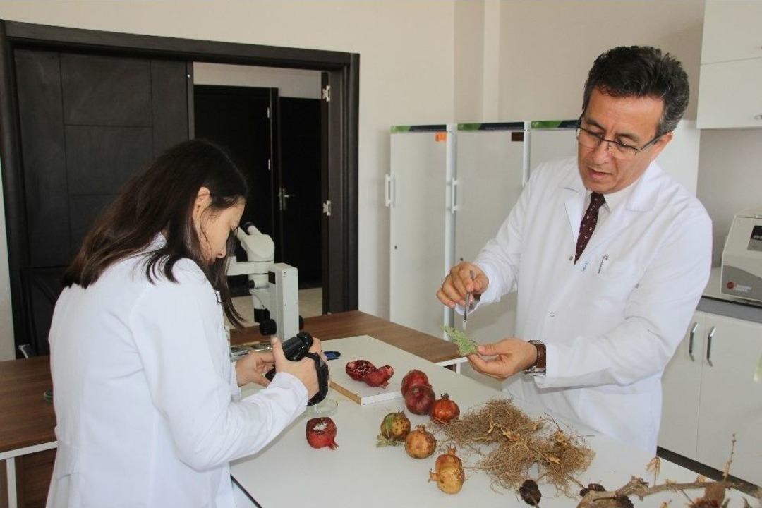 Bitki Sağlığı Kliniği Uygulama Ve Araştırma Merkezi B&ouml;lgede &Ouml;nc&uuml;