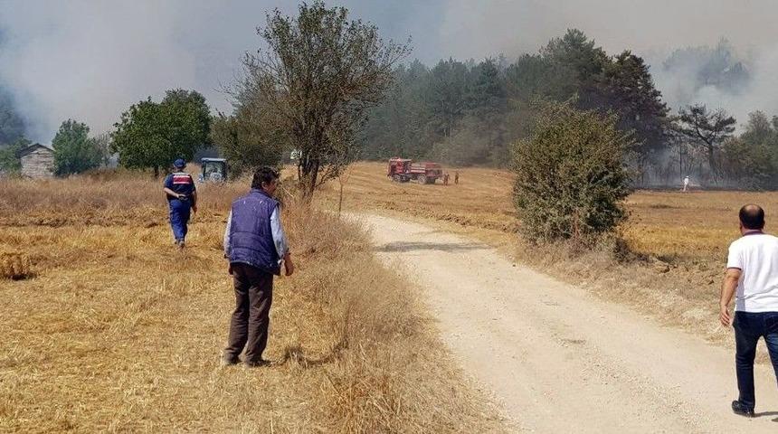 Bolu&rsquo;da Orman Yangını