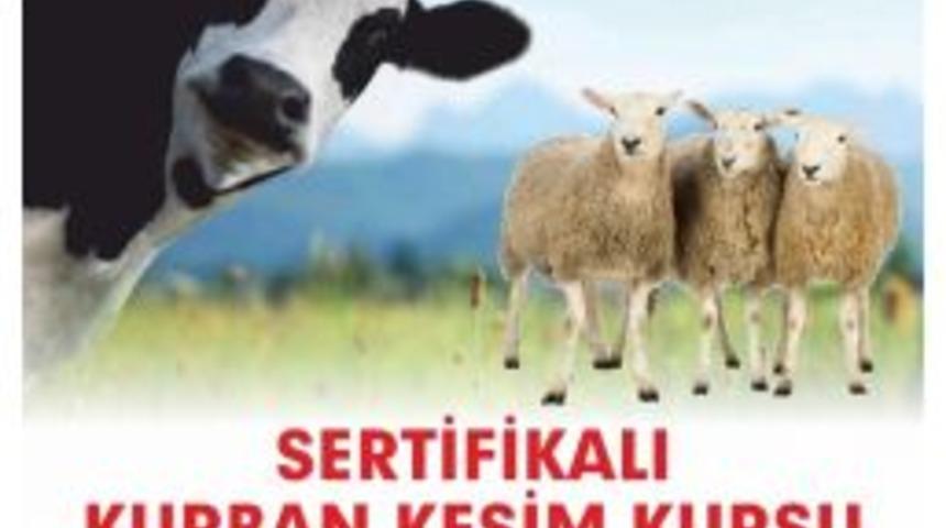 B&uuml;y&uuml;kşehirden Kurban Kesim Kursu