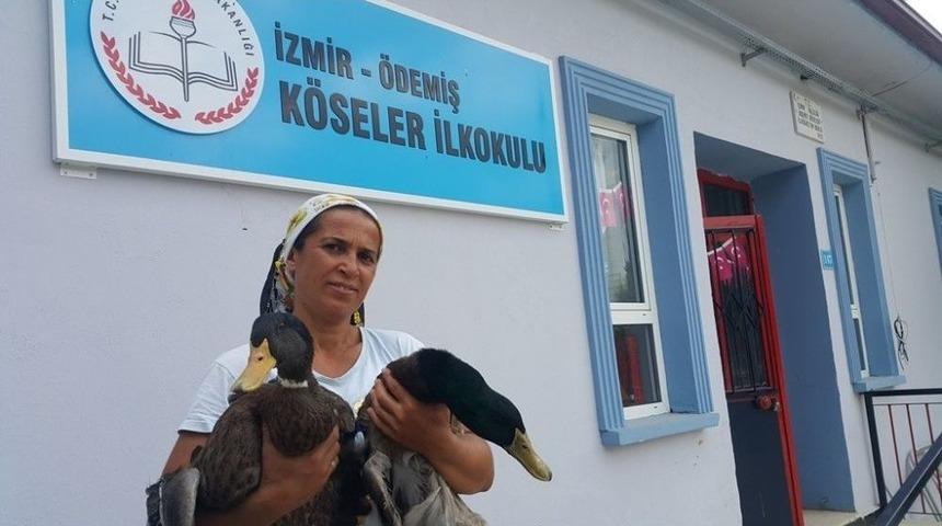 &Ccedil;iftlik Gibi Okulda 100 Kanatlı Hayvan Var