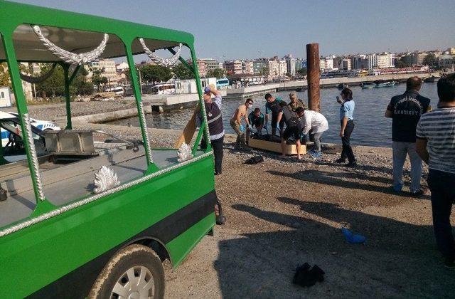 Kadıköy’de İki Hafta Önce Denize Düşen Gencin Cesedi Bulundu