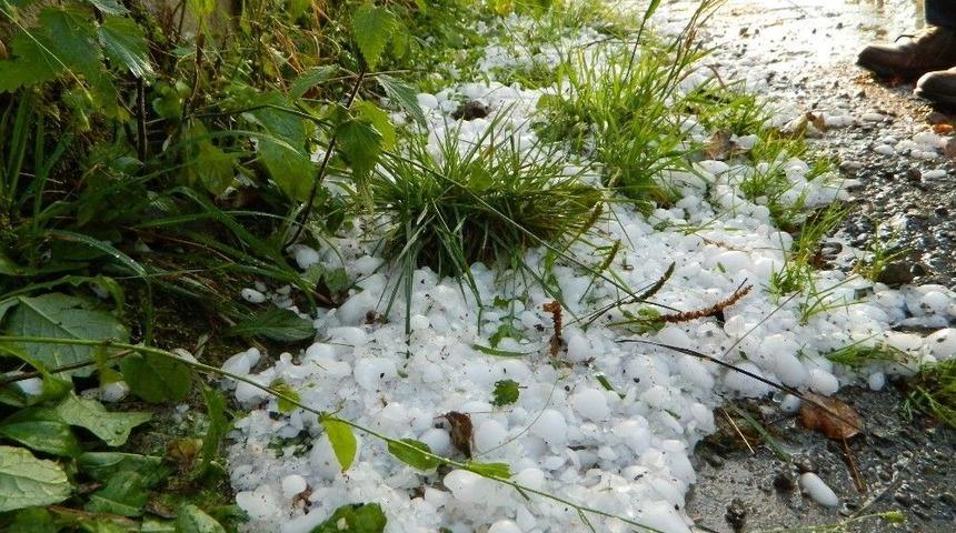 Posof&rsquo;ta Dolu Meyve Ağa&ccedil;larına Zarar Verdi