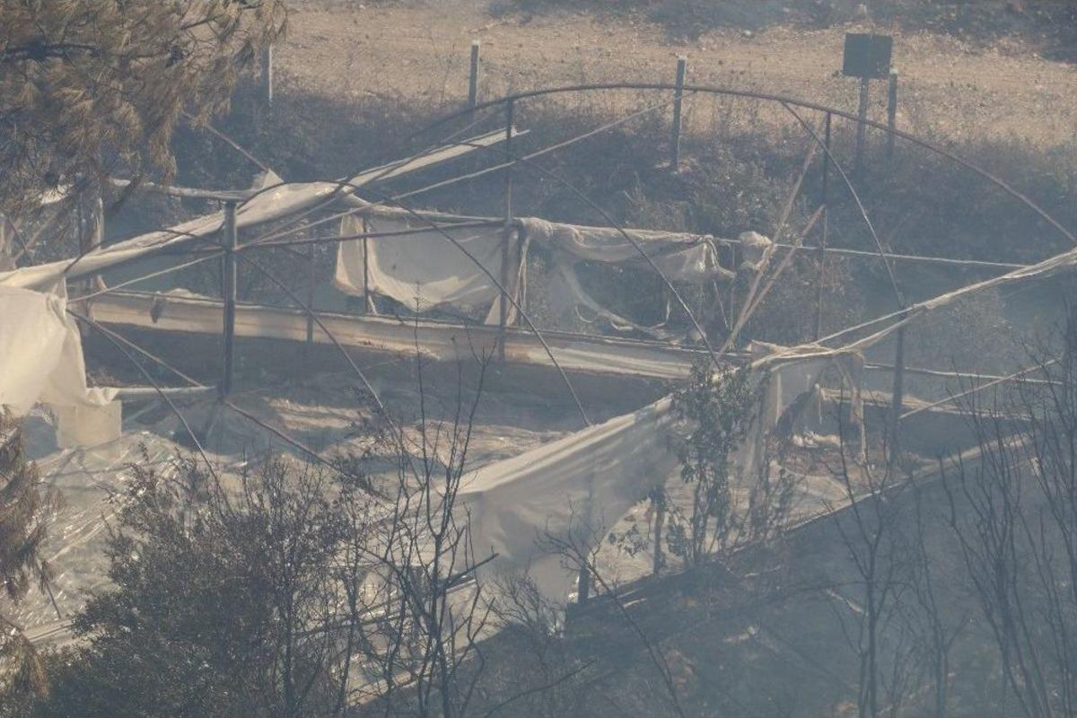 Antalya&rsquo;daki Yangın Kontrol Altına Alınıyor