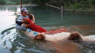 ‘yünüm Büğet’ Renkli Görüntüler Oluşturdu