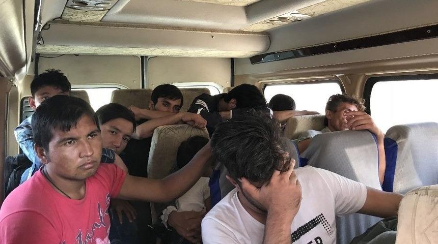 &Ccedil;anakkale&rsquo;de Ormanlık Alanda 48 M&uuml;lteci Yakalandı