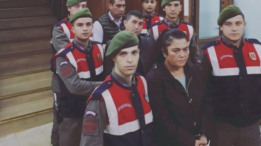 Jandarma Zeytinyağı Hırsızlarını Yakaladı