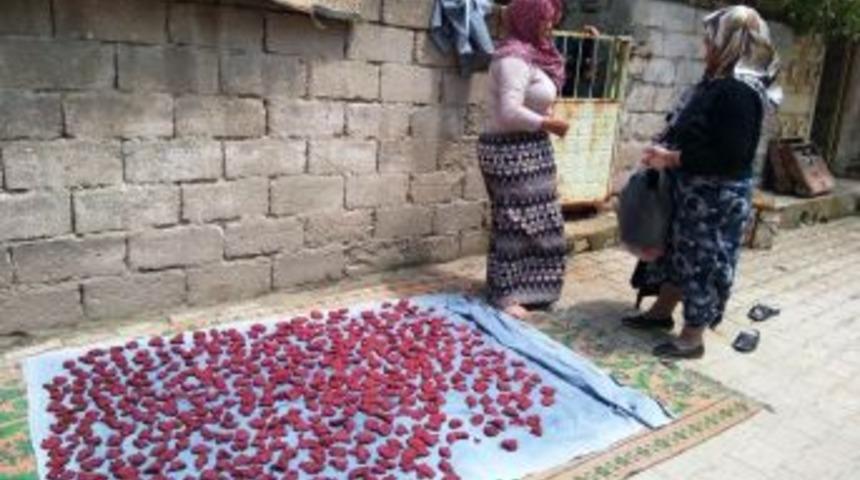 Kızılcık Tarhanası Yere Serilerek Kurutuluyor